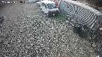 yotec2-20250329133018.jpg