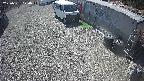 yotec2-20250331120016.jpg