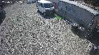 yotec2-20250331122018.jpg