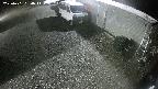 yotec2-20250401030015.jpg