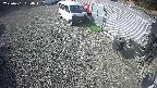 yotec2-20250401084018.jpg