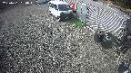 yotec2-20250401090017.jpg
