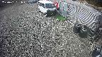 yotec2-20250401091017.jpg