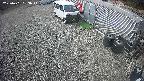 yotec2-20250401093015.jpg