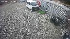 yotec2-20250401094018.jpg