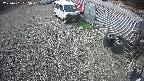 yotec2-20250401095018.jpg