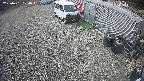 yotec2-20250401100017.jpg