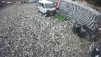 yotec2-20250401115016.jpg