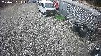 yotec2-20250401121016.jpg