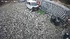 yotec2-20250401122016.jpg