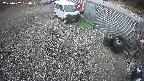 yotec2-20250402120015.jpg