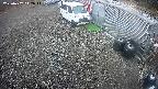 yotec2-20250402142016.jpg