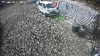 yotec2-20250404102018.jpg