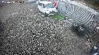 yotec2-20250404105016.jpg