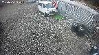 yotec2-20250404110017.jpg