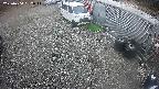 yotec2-20250404152016.jpg