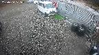 yotec2-20250404171017.jpg