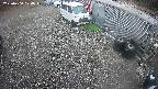 yotec2-20250404174018.jpg