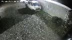 yotec2-20250405004015.jpg