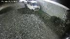 yotec2-20250405025018.jpg