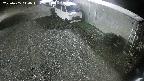 yotec2-20250405040015.jpg