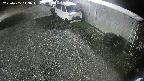 yotec2-20250405043017.jpg