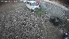 yotec2-20250405051018.jpg