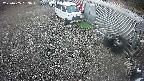 yotec2-20250405053018.jpg