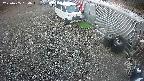 yotec2-20250405054017.jpg