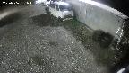 yotec2-20250406031016.jpg