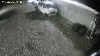 yotec2-20250406043015.jpg