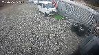 yotec2-20250406123017.jpg