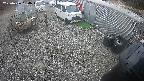 yotec2-20250406130016.jpg