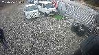 yotec2-20250406134018.jpg