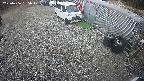 yotec2-20250406135018.jpg