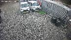 yotec2-20250409151016.jpg