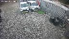 yotec2-20250409153017.jpg