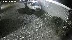 yotec2-20250410214016.jpg