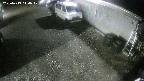 yotec2-20250413040017.jpg