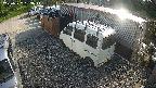 yotec2-20250527163015.jpg