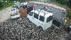 yotec2-20250531174014.jpg