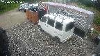 yotec2-20250605045014.jpg