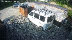 yotec2-20250607064016.jpg