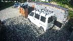 yotec2-20250607070017.jpg