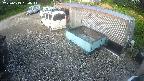 yotec2-20250619050016.jpg