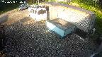 yotec2-20250619060015.jpg