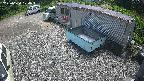 yotec2-20250624124014.jpg