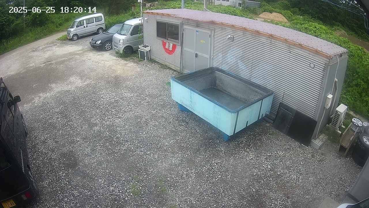 yotec2-20250625182015.jpg