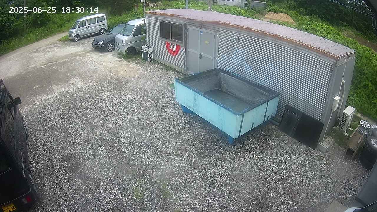yotec2-20250625183015.jpg