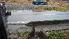 yotec3-20230101072027.jpg